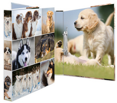 HERMA ringband Animals honden A4, 2-rings mechaniek, 35 mm