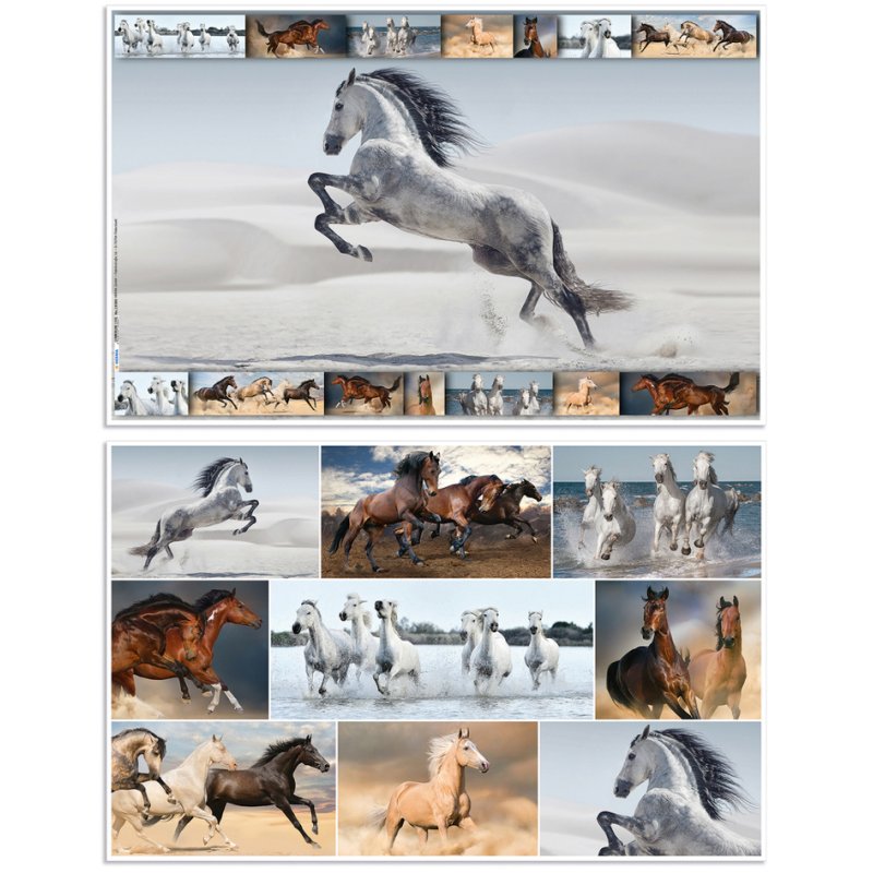 HERMA Sous-main Chevaux, 550×350 mm, softtouch