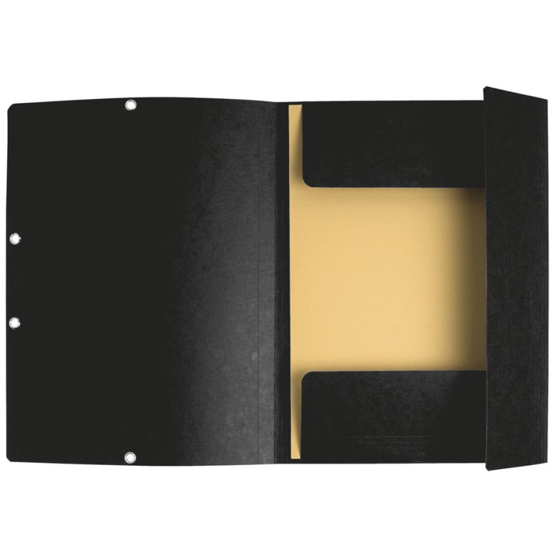 EXACOMPTA documentenmap A4, karton, zwart, 10 stuks