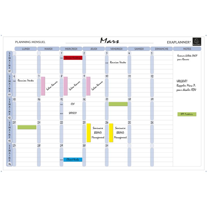 EXACOMPTA magnetische maandplanner Exaplanner, droogwisbaar, 72 magneten, Frans