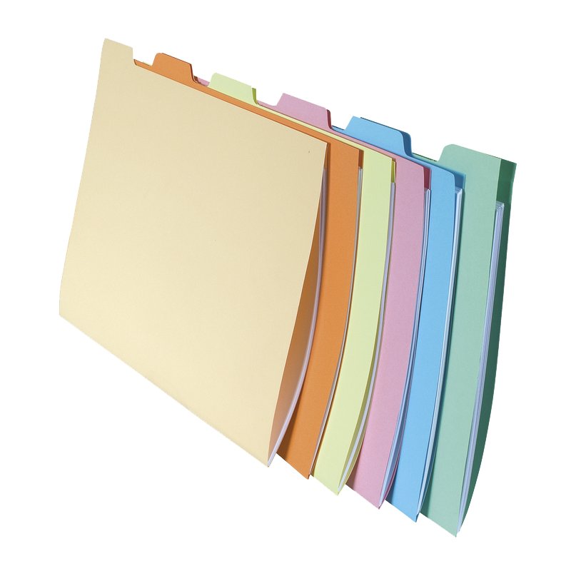 EXACOMPTA hangmappen A4, gekleurd gesorteerd, 60 stuks