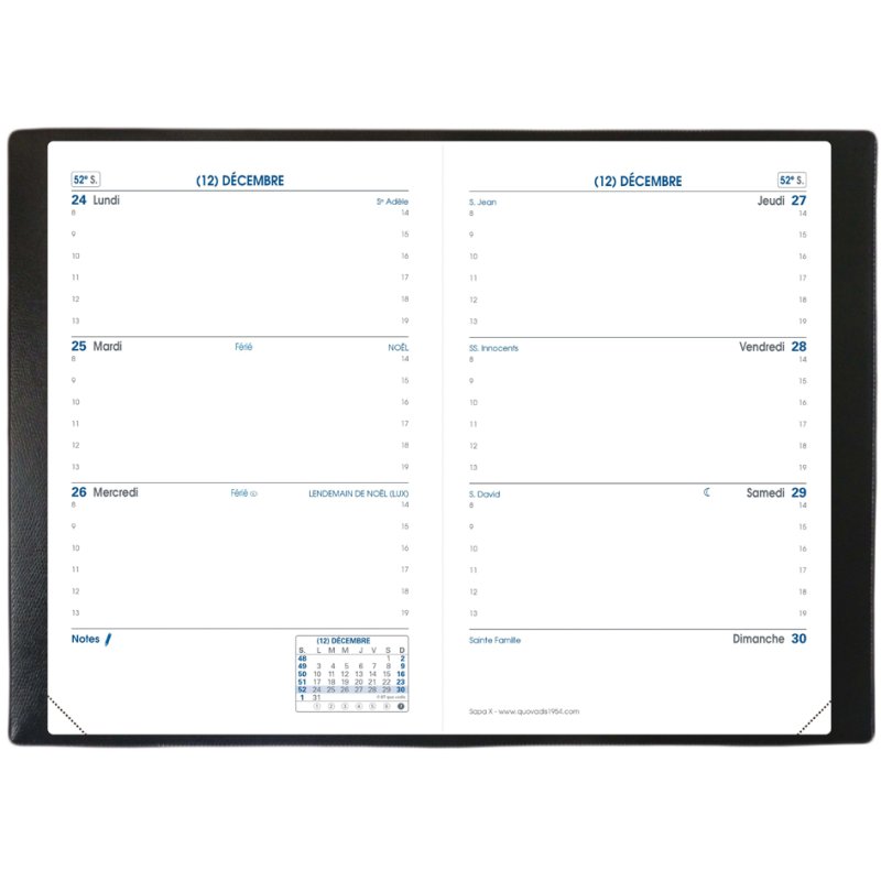 QUO VADIS agenda SAPA X 2027, 100 x 150 mm, Impala noir