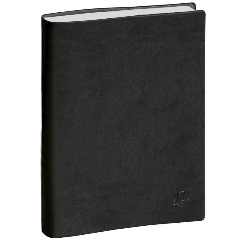 Exacompta Agenda 'Le Jour Planifié 21', 2025, Assorti.