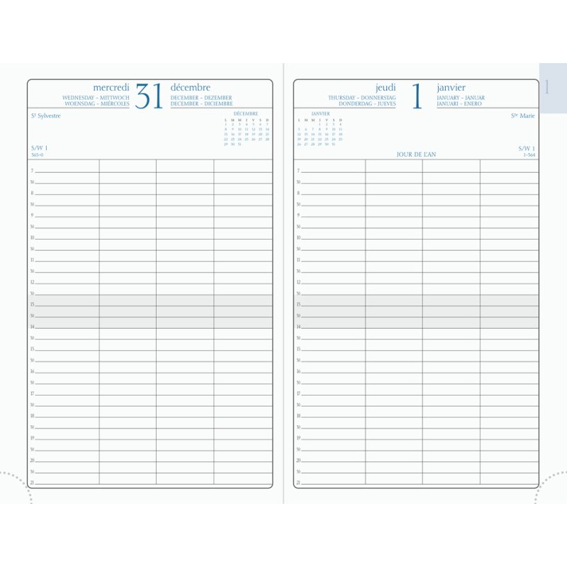 Exacompta Agenda 'Le Jour Planifié 21', 2025, Assorti.