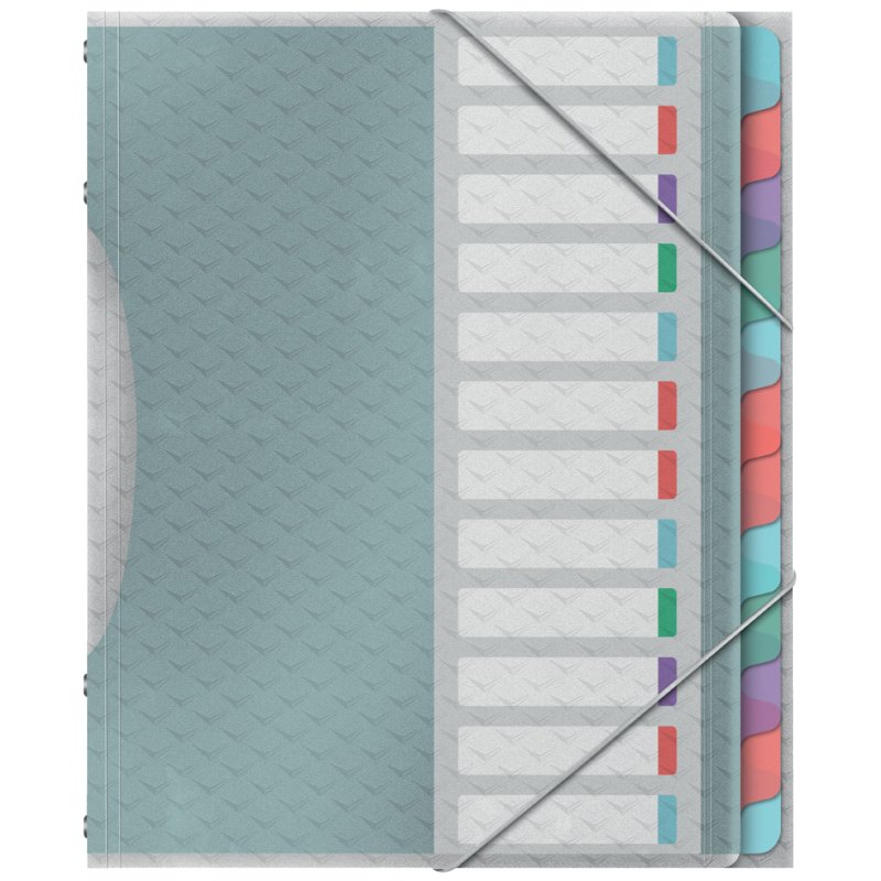 Esselte chemise à anneaux Colour'Breeze, A4, PP, 12 compartiments