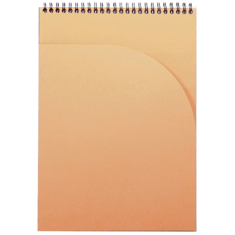 RHODIA bloc-notes spiralé A4, quadrillé, noir, 80 feuilles