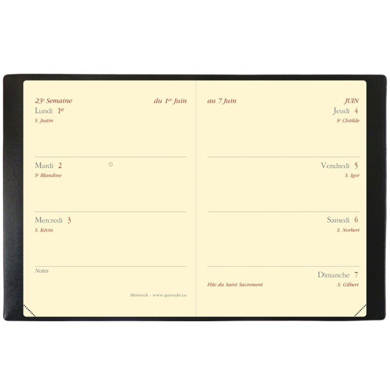 QUO VADIS zakagenda MINIWEEK 1S, zwart, 1 week per 2 pagina's