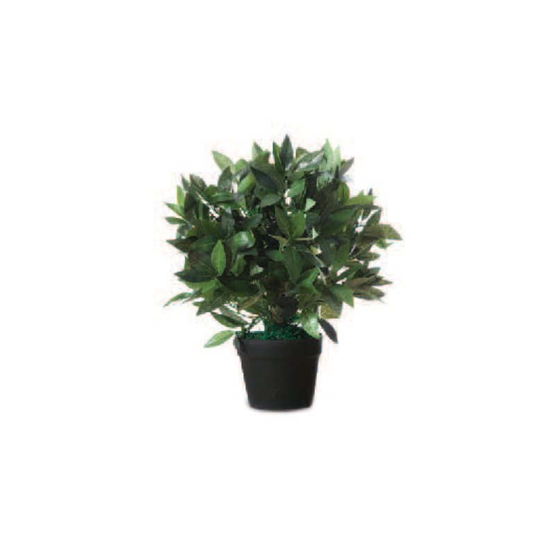 PAPERFLOW kunstplant Laurierboom, 50 cm, polyester, houten stam