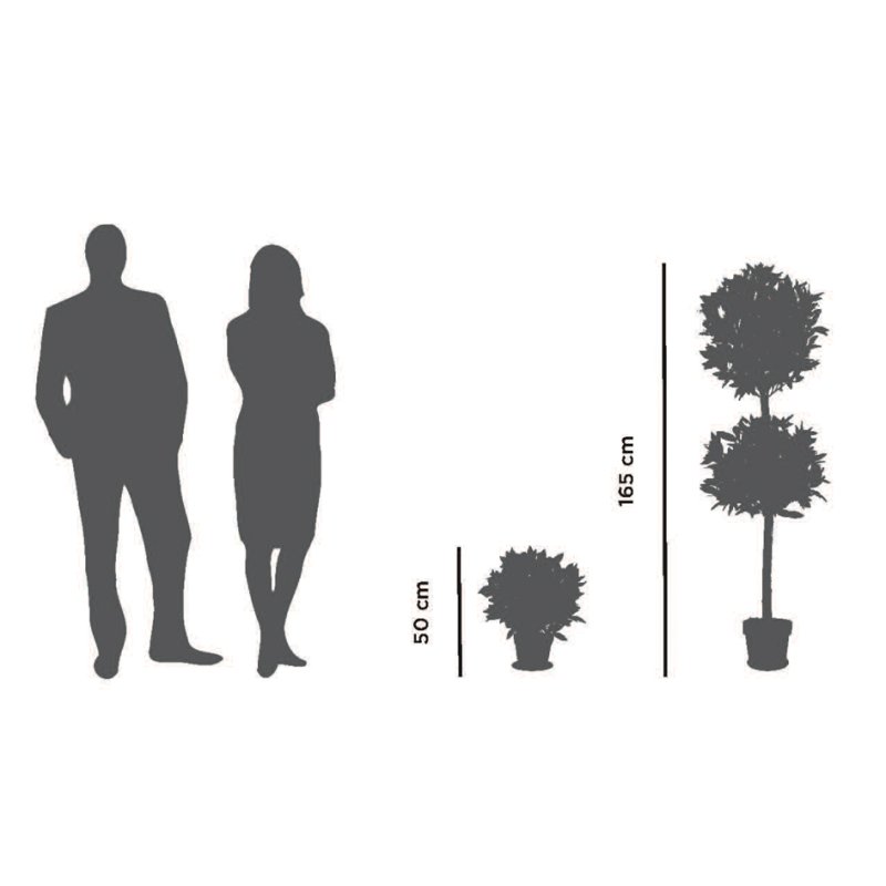 PAPERFLOW kunstplant Laurierboom, 50 cm, polyester, houten stam