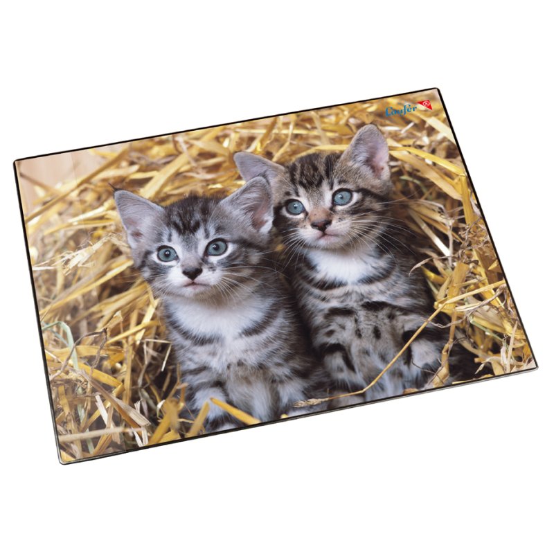Läufer Sous-main chats dans la paille, 40×53 cm, plastique