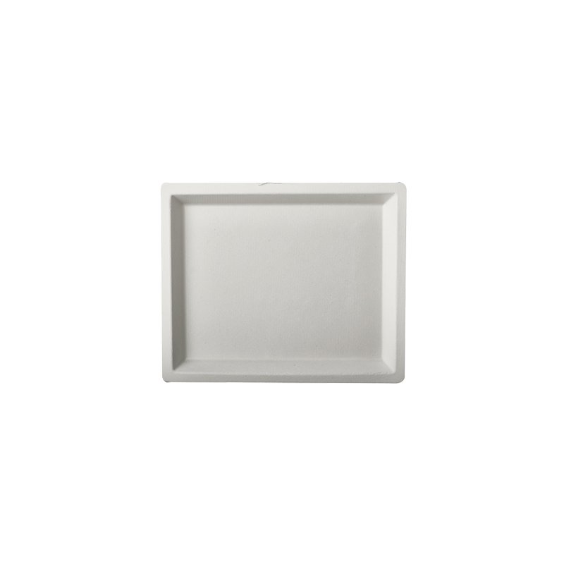 PAPSTAR assiettes en bagasse rectangulaires, 130 × 260 mm, blanc, 50 pièces