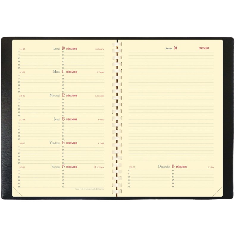 QUO VADIS Note 15 S Prestige 2027 diary, 100 x 150 mm, black