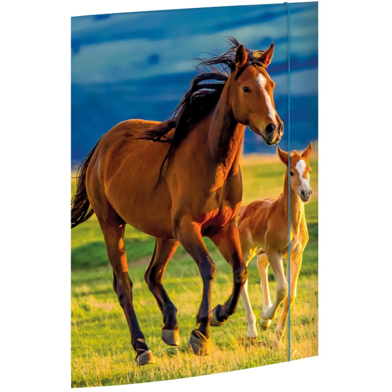RNK Verlag drawing folder Free Horses, A3, glossy cardboard