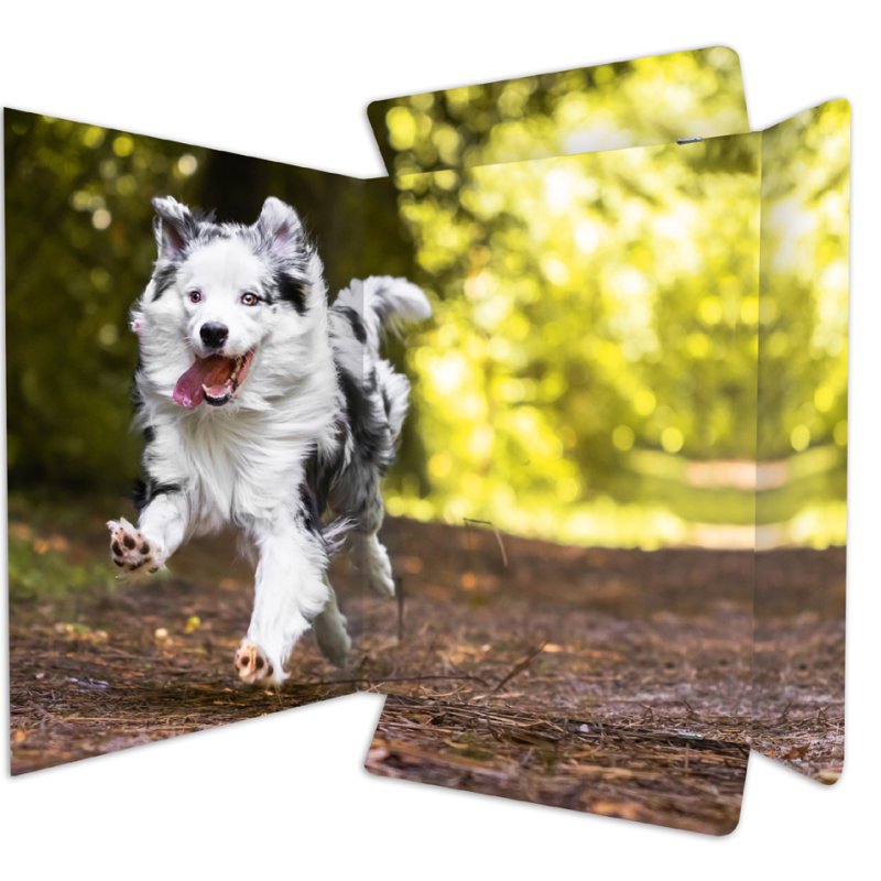 RNK Verlag drawing folder Free Horses, A3, glossy cardboard