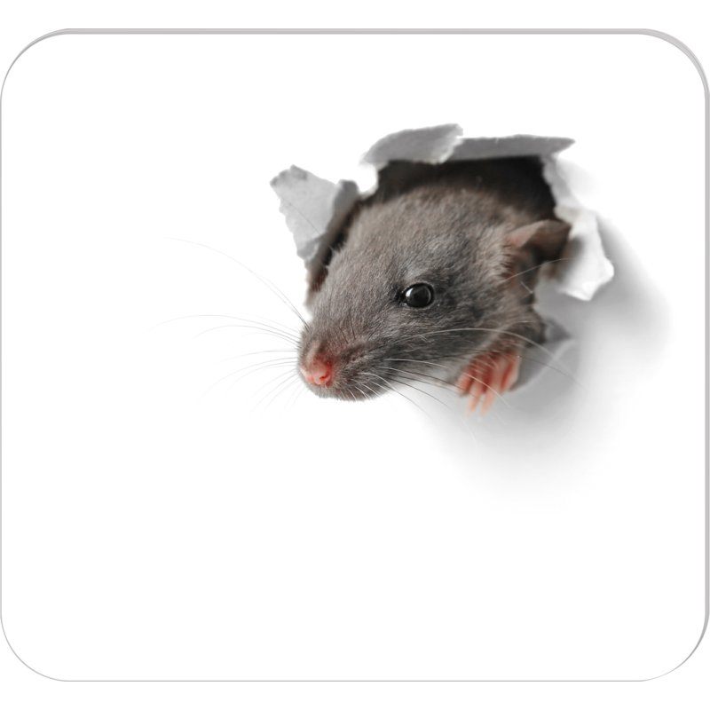 RNK Verlag bloc de tapis de souris Nous allons y arriver!, 240×220 mm, 30 feuilles
