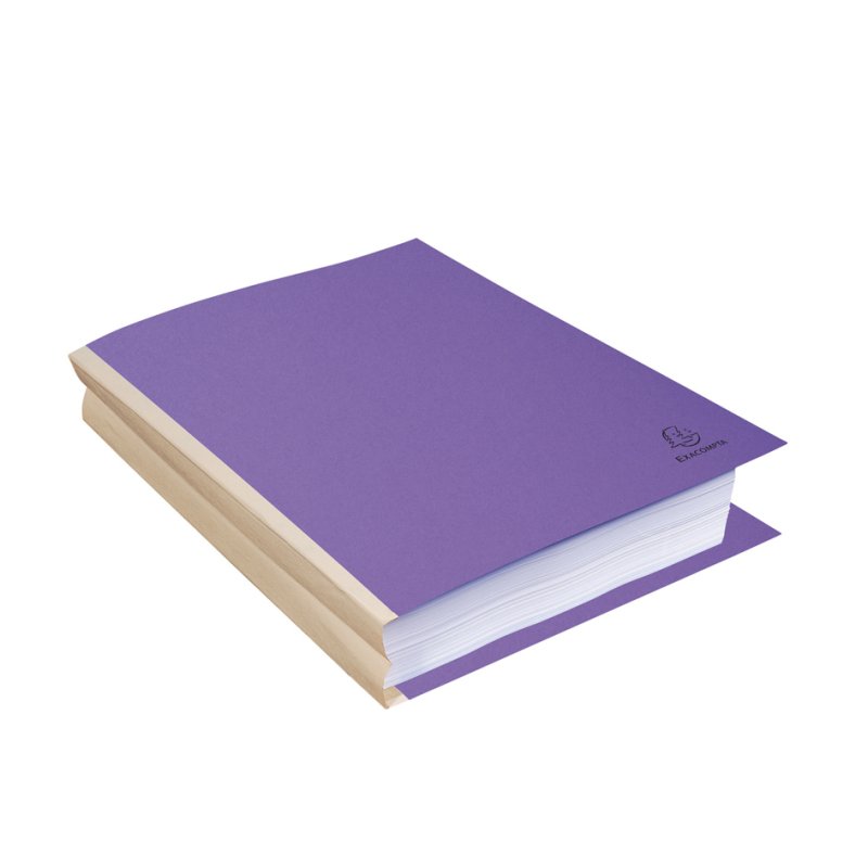 EXACOMPTA ROCK's collecting folder, cardboard, A4, coloured, 10 pieces