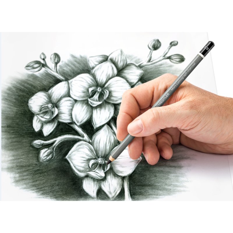 STAEDTLER Mars Lumograph crayon de charbon, degré de dureté S, 176 mm
