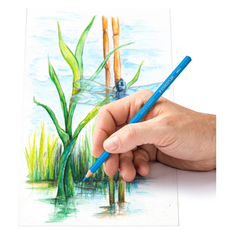 STAEDTLER crayons aquarelle Design Journey, étui métal, 12 pièces