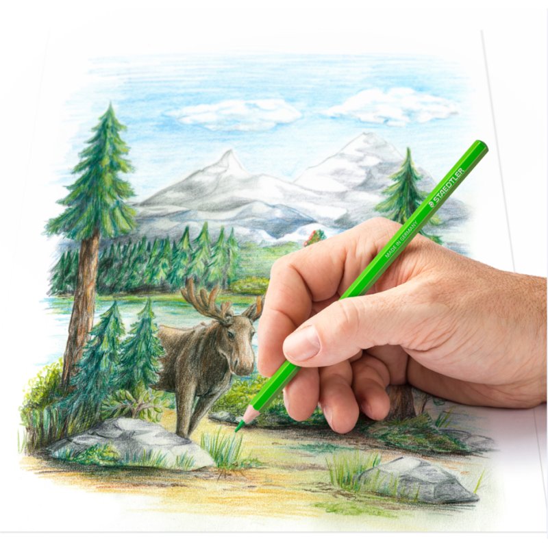 STAEDTLER crayons de couleur Design Journey, 12 pièces, boîte métallique