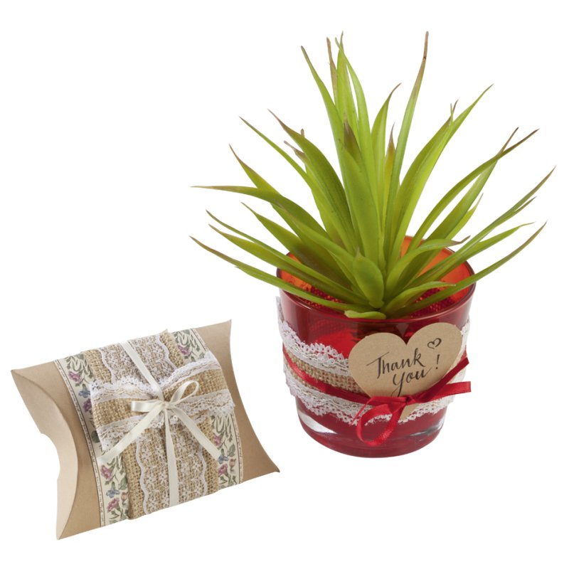 folia juteband met kant, 2 verschillende breedtes, 1 meter per rol, naturel
