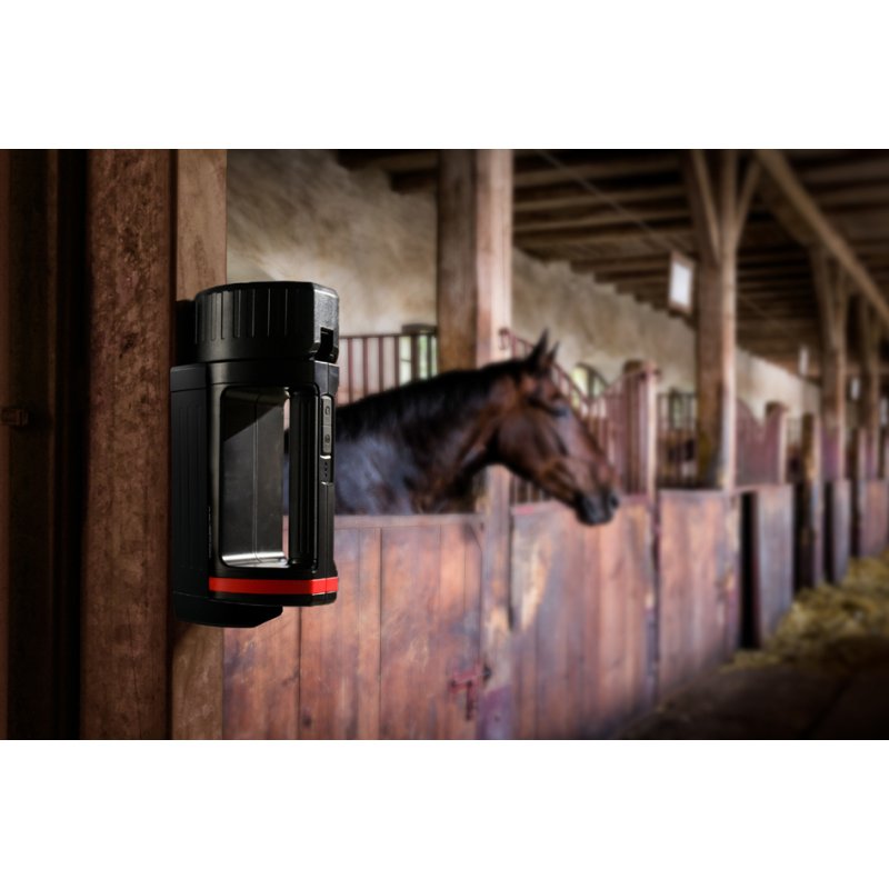 ANSMANN lampe de poche LED rechargeable HS5R, noir, 2600 mAh