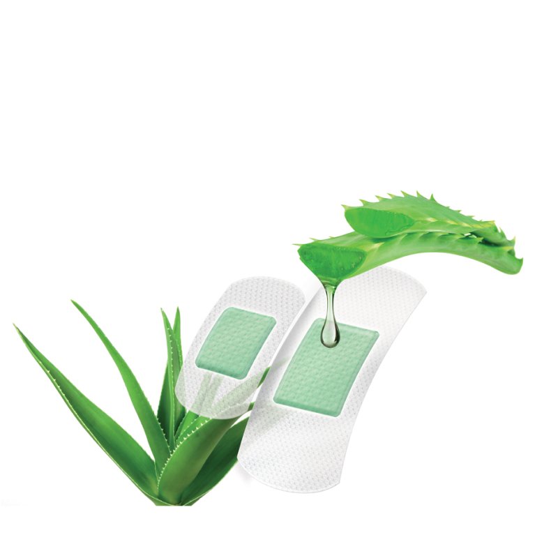 Lifemed pansements Aloe Vera, résistant à l'eau, blanc, 10 pièces