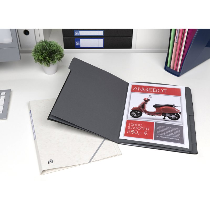 Oxford Top File+ A4 sorting folder, blue, 8 compartments