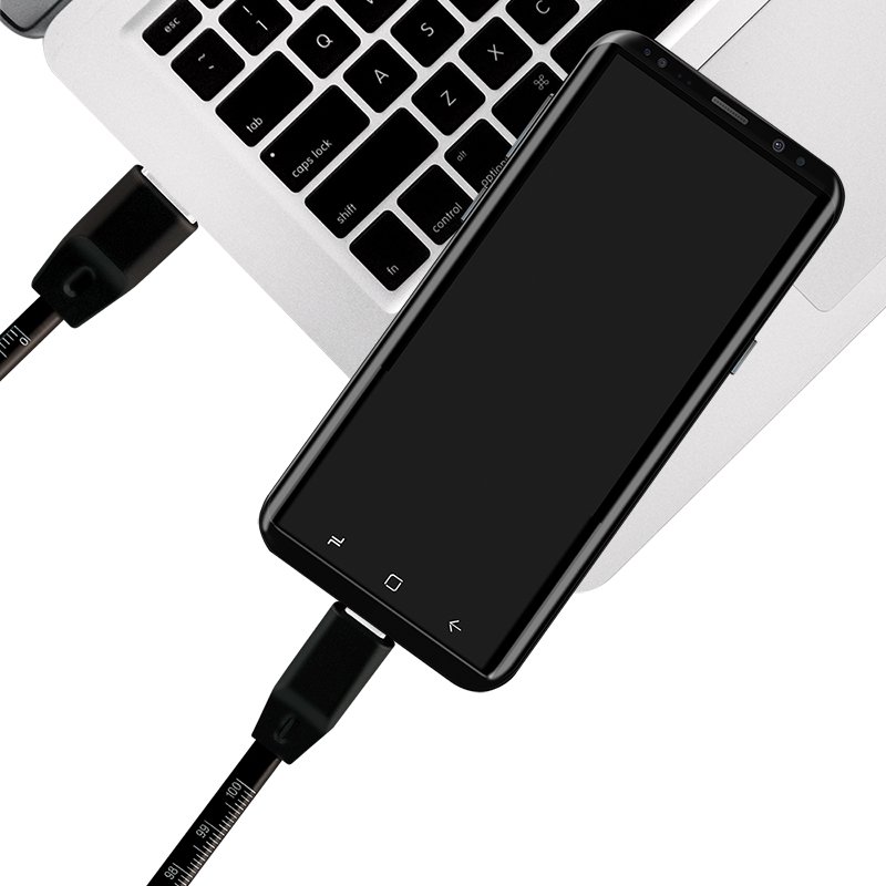 LogiLink Câble USB 2.0 avec règle, USB-A vers USB-C, noir, 1,0 m
