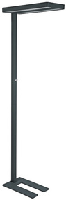 MAUL LED-vloerlamp MAULjaval, dimbaar, 80W, 4000K neutralwit