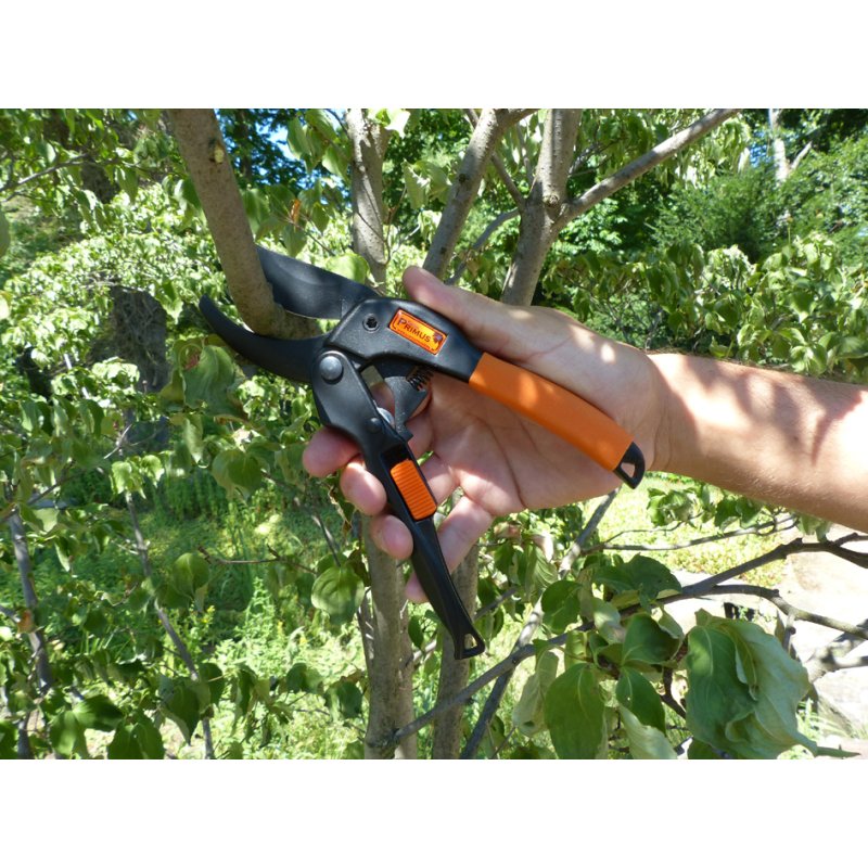 Garten PRIMUS lame de rechange pour sécateur de jardin PowerGlijschaar