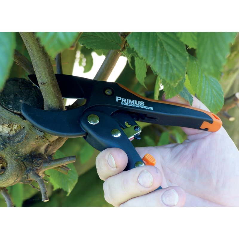 PRIMUS cisaille à cliquet pour femme, noir/orange, pour branches jusqu'à 20 mm
