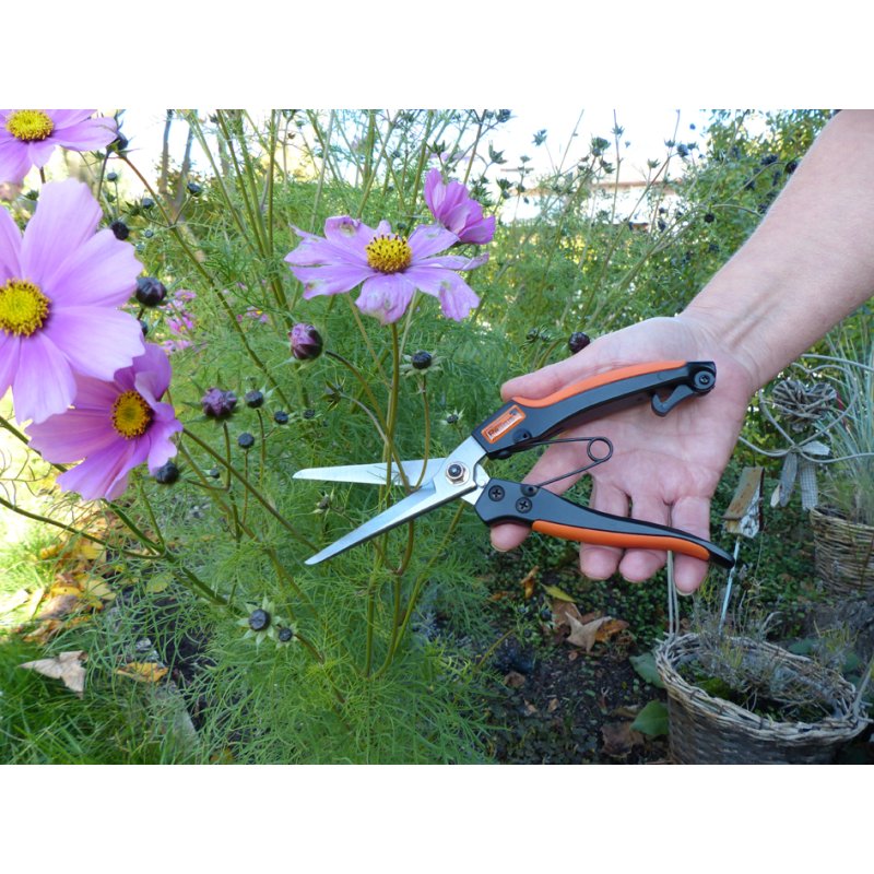 Garten PRIMUS sécateur à herbes et vivaces, 231 mm, revêtement antiadhésif