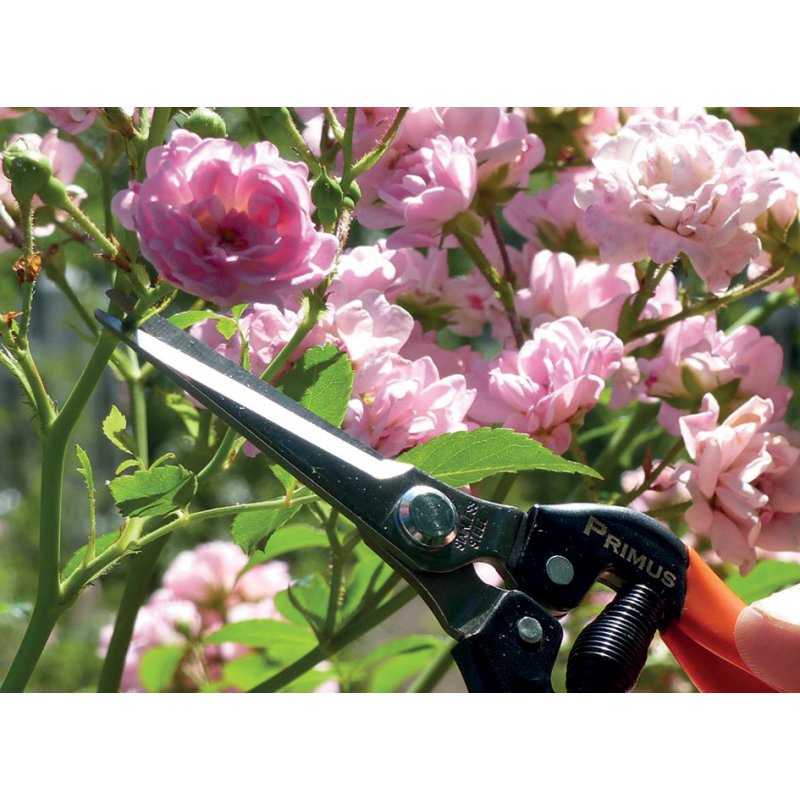 Garten PRIMUS sécateur de jardin Wunderschere, 187 mm, poignées ergonomiques