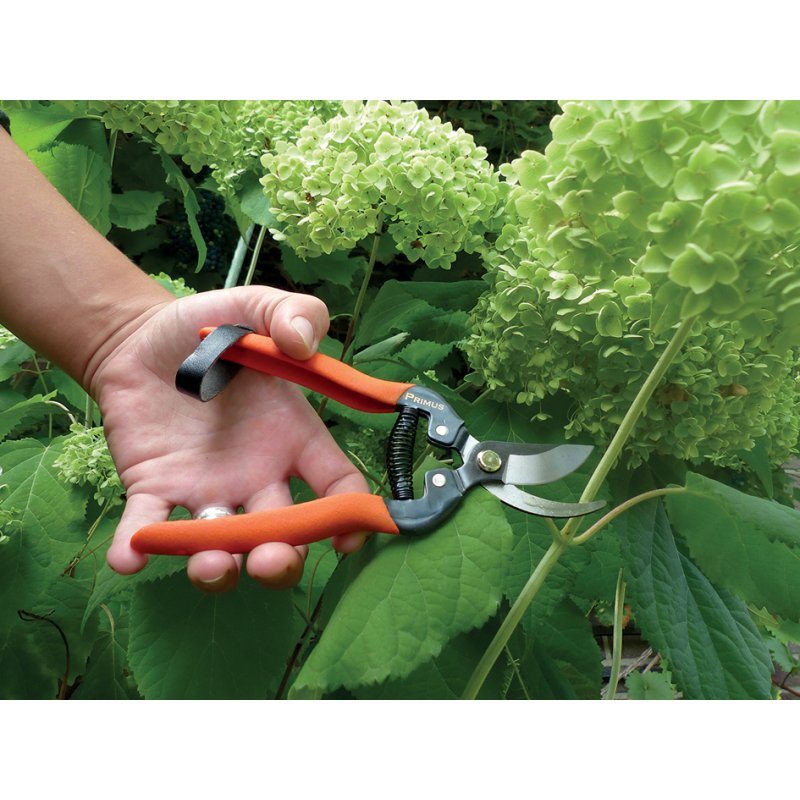 Garten PRIMUS sécateur de jardin roses et élagage, 175 mm, lames acier carbone