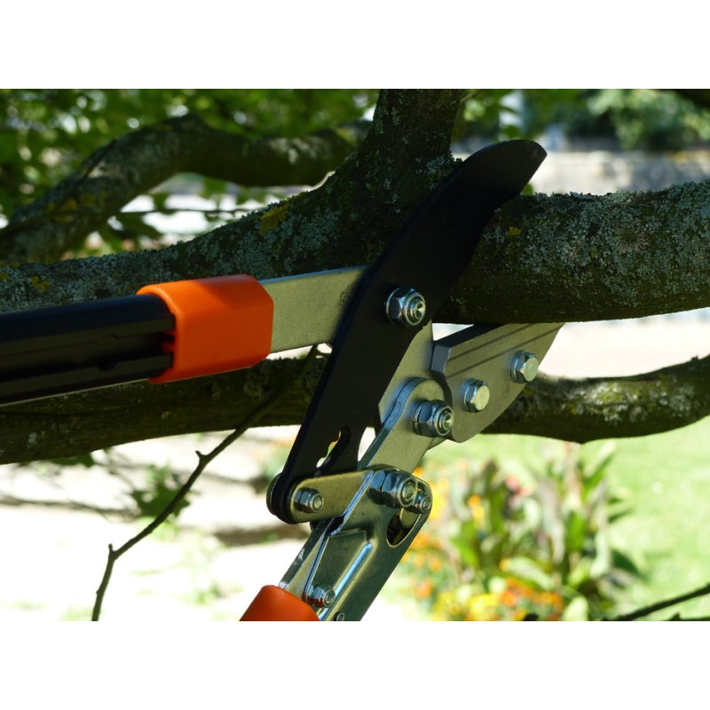 PRIMUS EK tree shears with ratchet system, hardened steel, non-stick coating