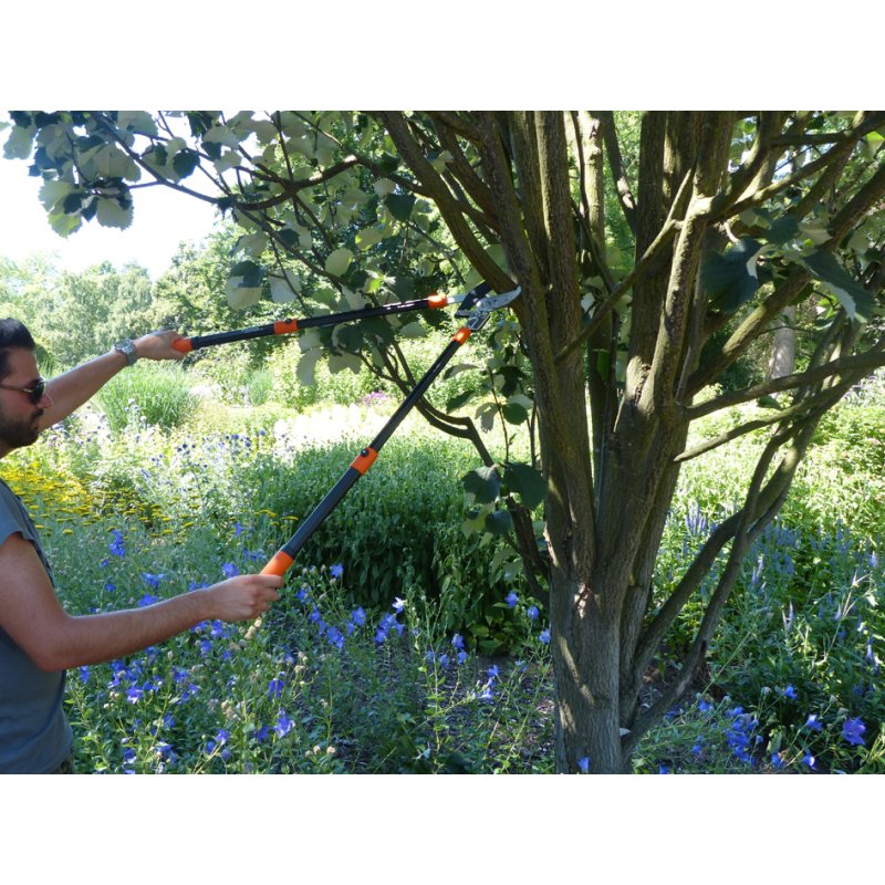 PRIMUS EK tree shears with ratchet system, hardened steel, non-stick coating