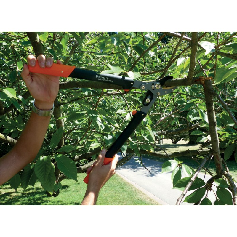 PRIMUS sécateur pour femmes, noir/orange, jusqu'à 35 mm d'épaisseur de branche