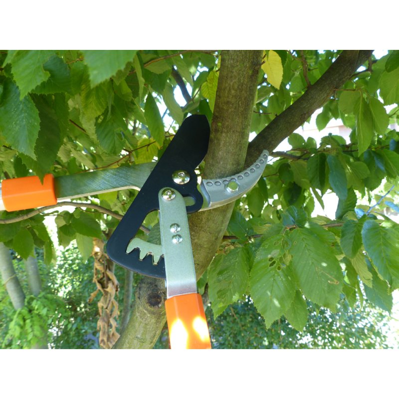 PRIMUS Power branch shears, black/orange, gear box, optimal leverage