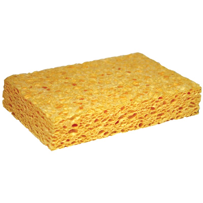Won Tafelschwamm, geel