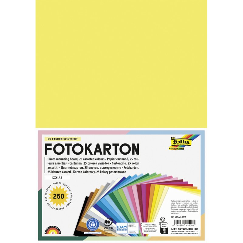 folia Photo Card A4, 300 g/m², 25 assorted colours, 250 sheets