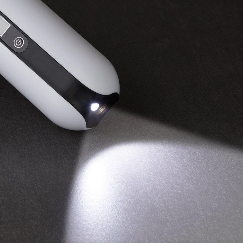 FISCHER compresseur à batterie avec powerbank et lampe de poche LED, batterie lithium-ion, écran LCD numérique