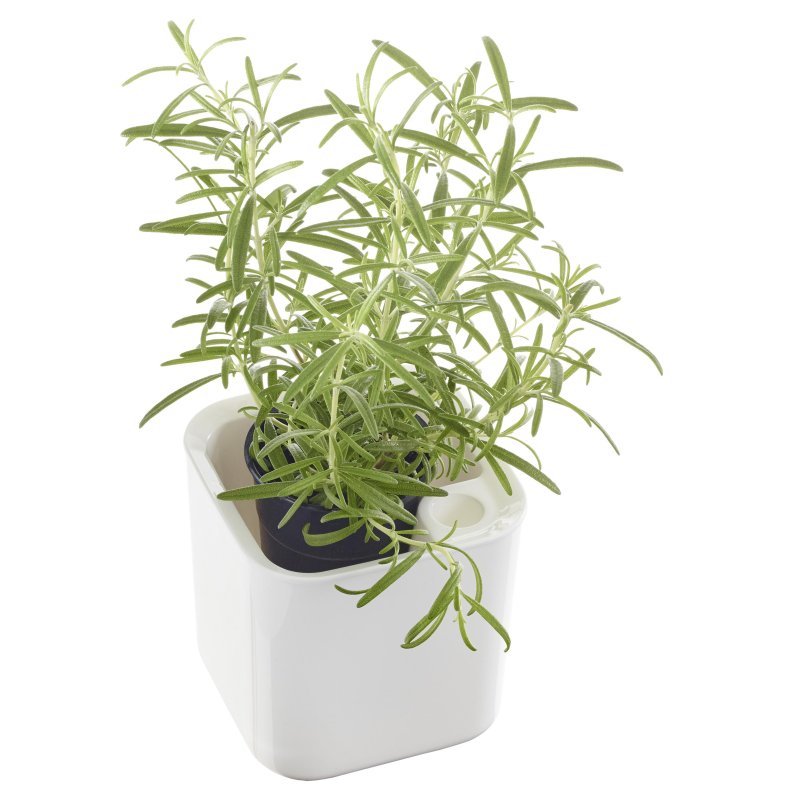 Orthex pot à épices Eden, blanc, 120×120×120 mm, plastique recyclé
