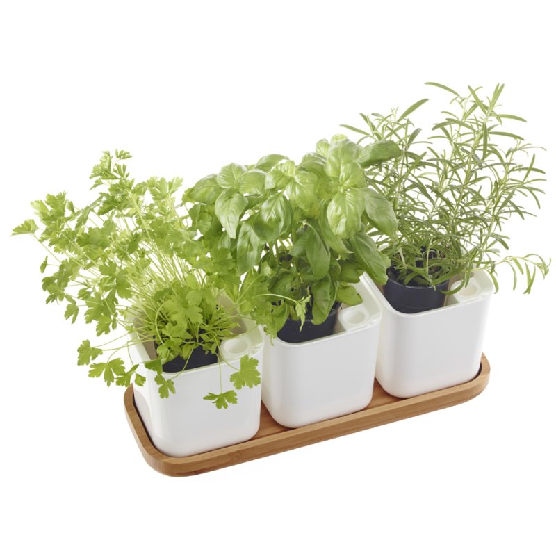 orthex Herb pot E, white, 390×145×145 mm