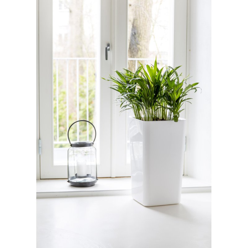 orthex pot de fleurs EDEN, système d'arrosage automatique, blanc, 200×200×210 mm