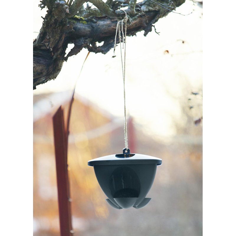 Orthex mangeoire pour oiseaux BIRDIE, noir, 290×290×240 mm, plastique recyclé