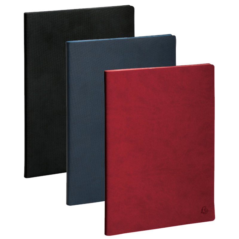 EXACOMPTA bureau-agenda 16 maanden 2024/2025, 210×297 mm, 1 week per 2 pagina's, 3 stuks