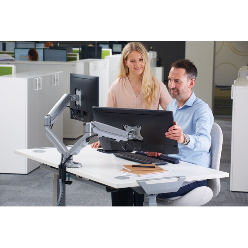 Fellowes Eppa bras double moniteur, argent, 39 pouces, 8 kg capacité de charge