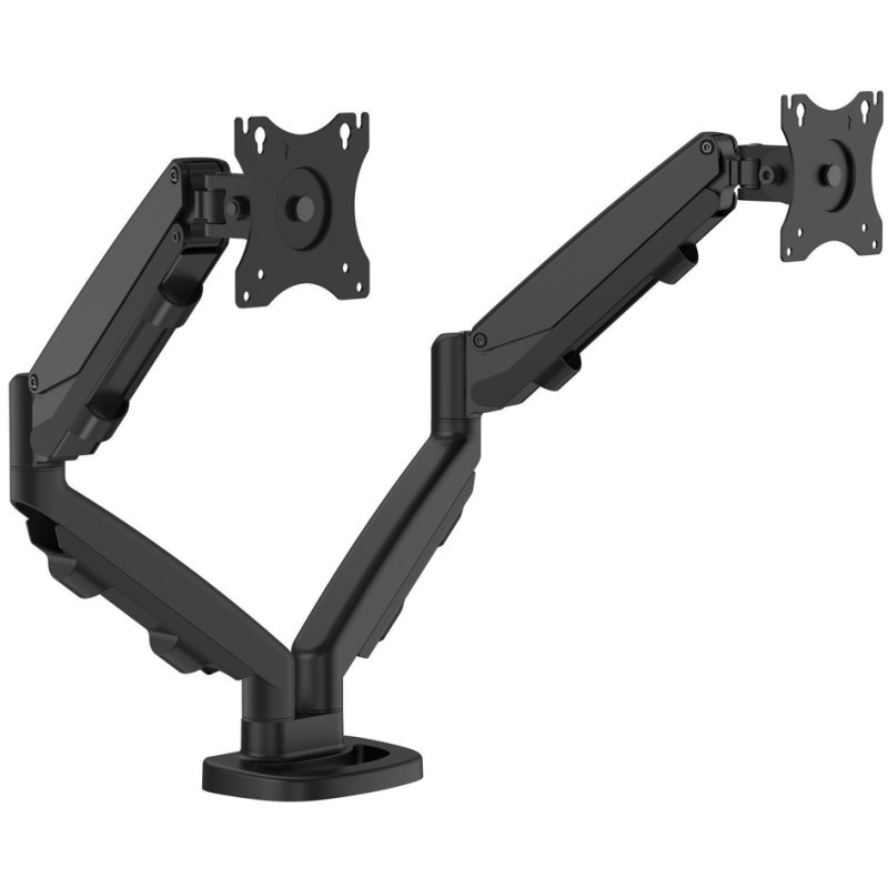 Fellowes Eppa bras double moniteur, argent, 39 pouces, 8 kg capacité de charge