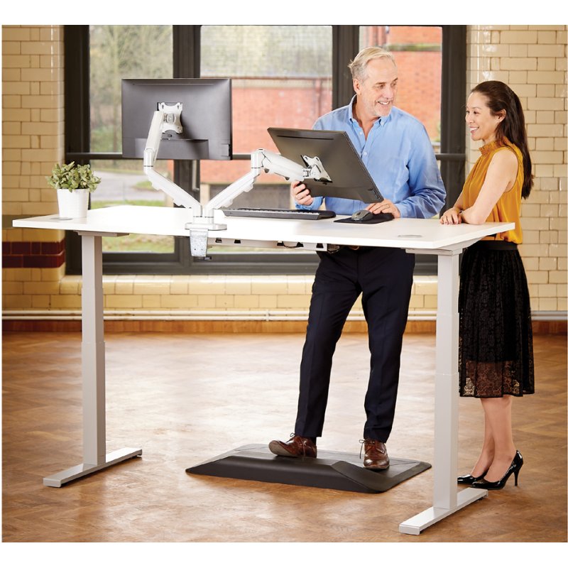Fellowes Eppa bras double moniteur, argent, 39 pouces, 8 kg capacité de charge