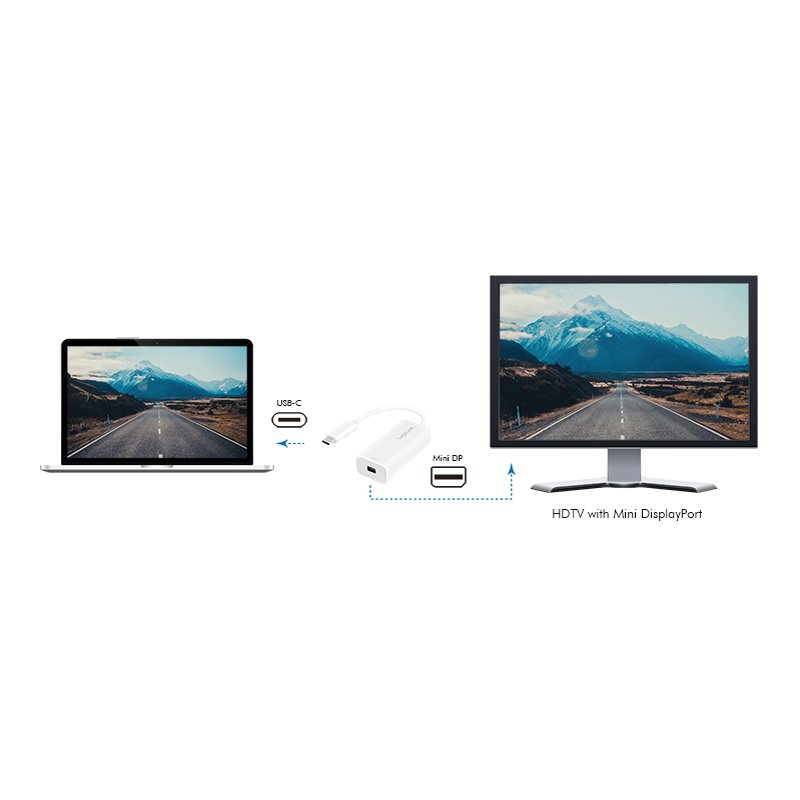 LogiLink Câble adaptateur USB-C vers Mini DisplayPort, blanc, 4K 60Hz, 150 mm